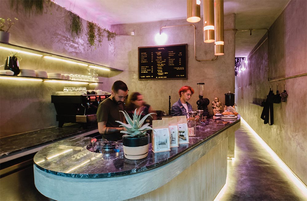 Quentin-Cafe_best-coffee-shops-in-Mexico-City-Digital-Nomad