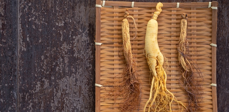 Dried Panax Ginseng - Adaptogenic Plants to Boost Energy and Focus - Gurvi Movement