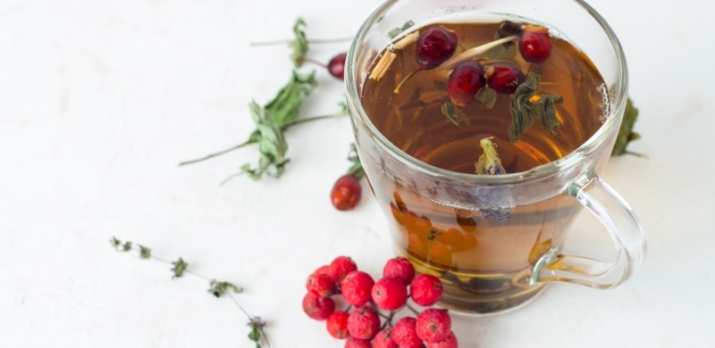 Herbal tea with Schisandra berries to improve Energy, Motivation and Focus - Gurvi Movement